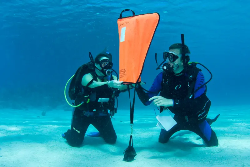 PADI Search and Recovery