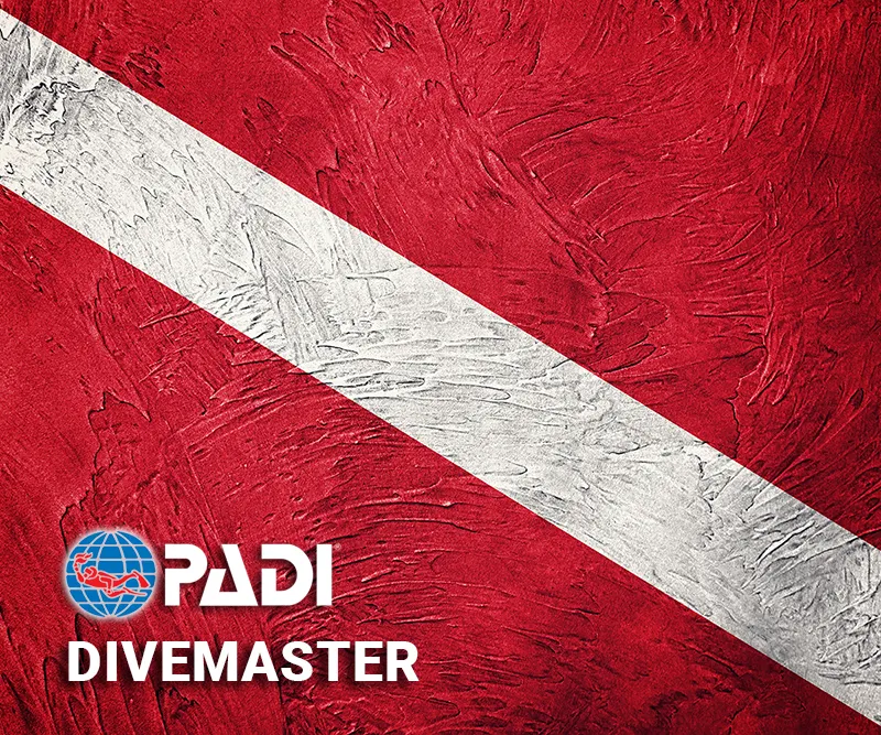 PADI Divemaster