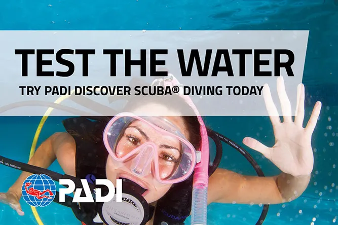 PADI Discover Scuba Diving