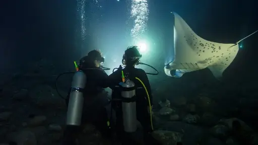 PADI Deep Diver