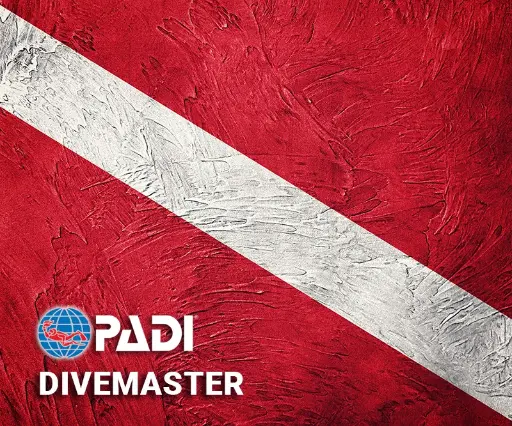 PADI Divemaster