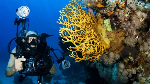 PADI Digital Underwater Photographer