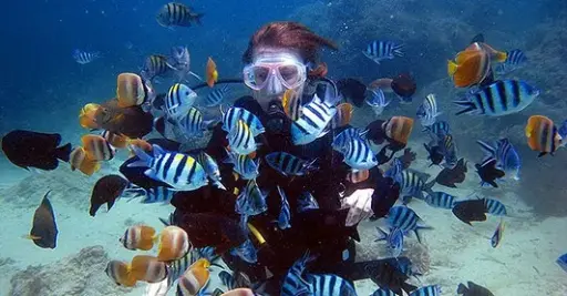 PADI ReActivate Scuba Refresher Program